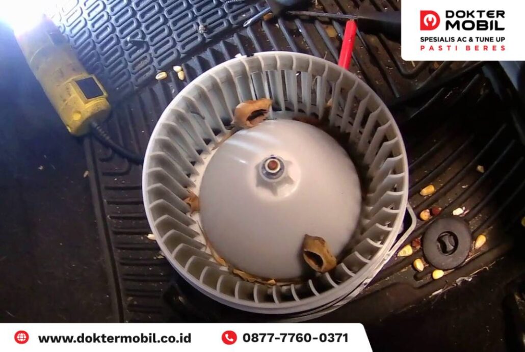 Poin-poin Perbedaan Kipas Radiator dan Kipas AC Mobil