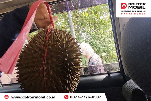 Cara Bawa Durian di Mobil Agar Tidak Bau